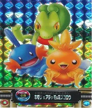 ポケモンずかんカードダス 05 プリズムクリア キモリ&アチャモ&ミズゴロウ